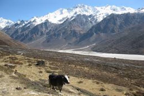 langtang trek